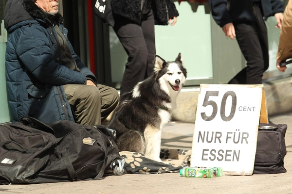 Artikel-Bild